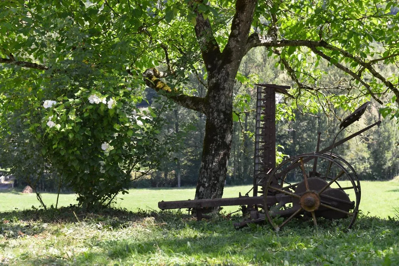 Gite Le Pressoir Domaine De Jouani Villecomtal France