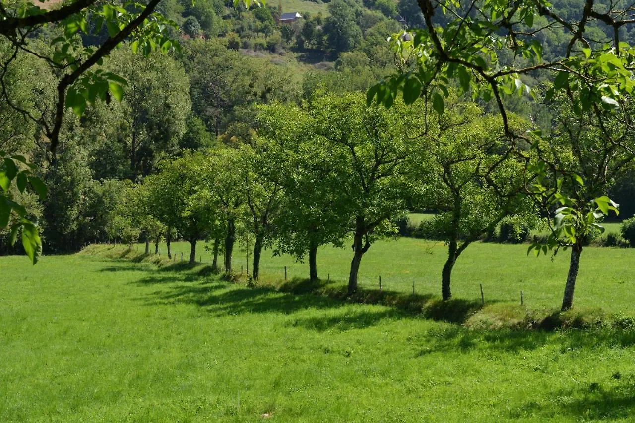 Gite Le Pressoir Domaine De Jouani Villecomtal 0*,  France